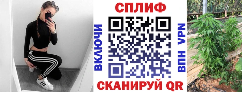 Купить наркотик Кыштым ГАШ  Канабис  Alpha PVP  МЕФ 