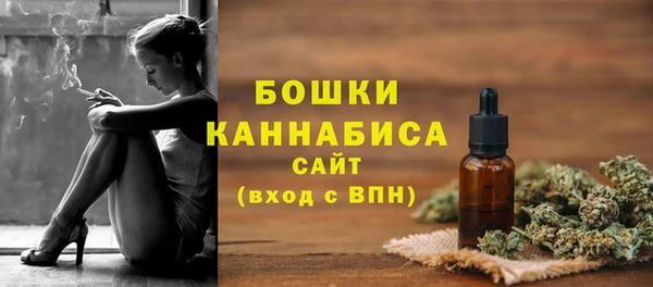 индика Саяногорск
