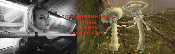 не бодяженный Россошь