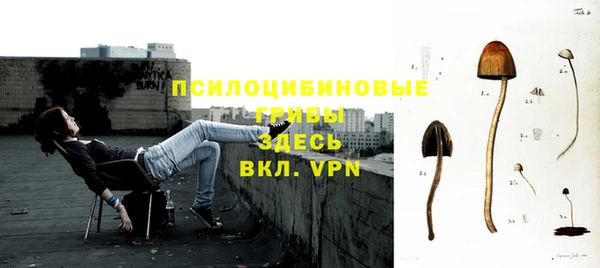Альфа ПВП Рославль