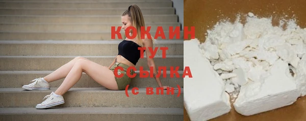 индика Саяногорск