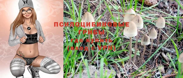 не бодяженный Россошь