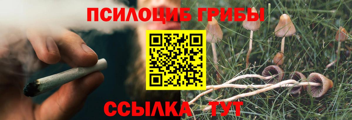 Кыштым  Псилоцибиновые грибы мицелий  Вход с VPN 